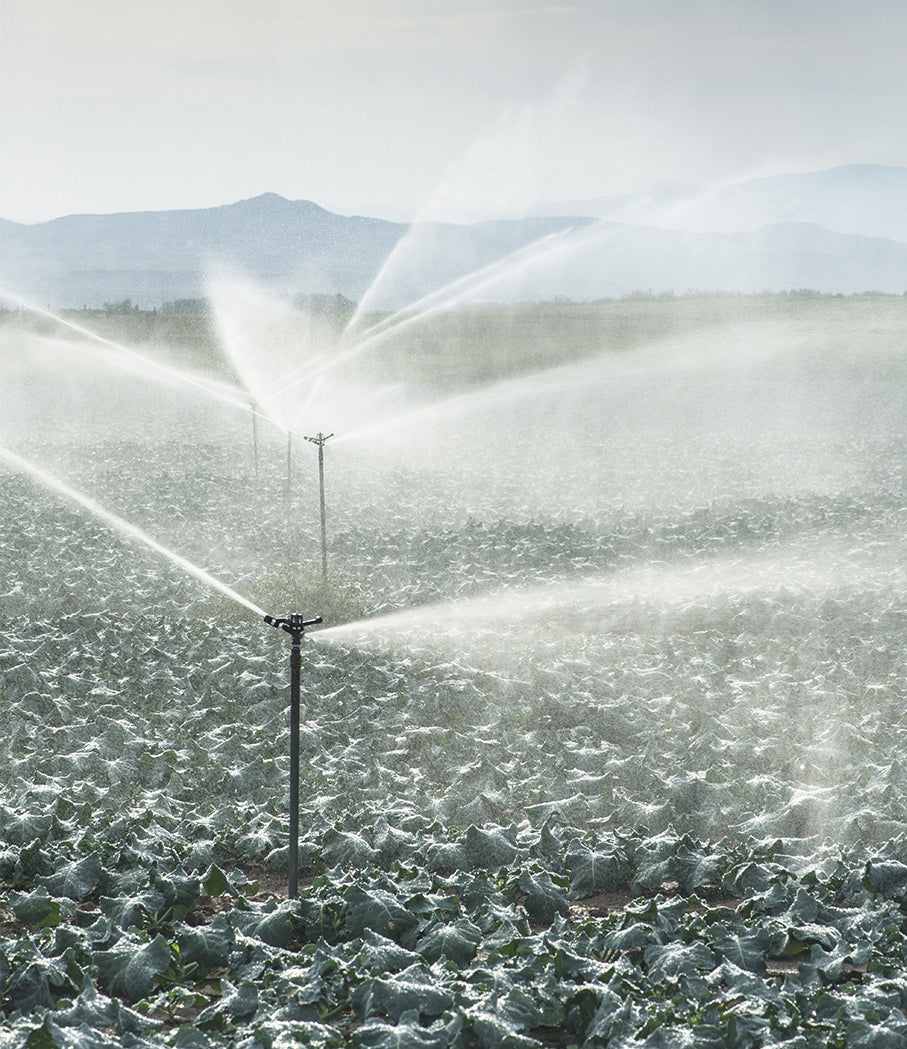 Water Reticulation & Irrigation Service NZ | Watertech Plus
